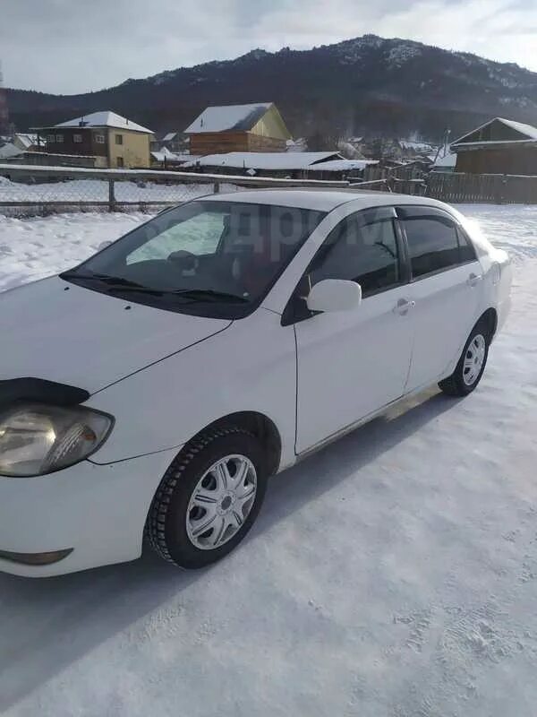 Усть-Кан Тойота Аллион о112уу22. Продажа Королла 2003 снег. Cana-Pro на Тойота. Купить Тойота в Республике Алтай.
