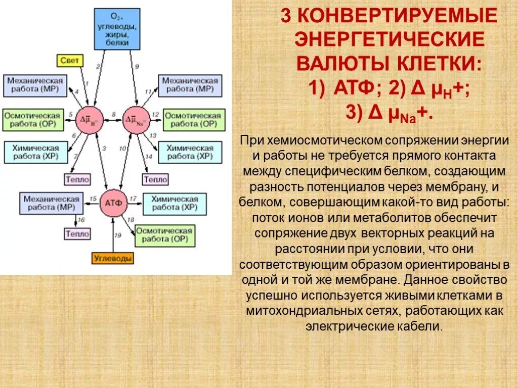 Конвертация энергии