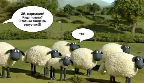 Барашка зашла прикол