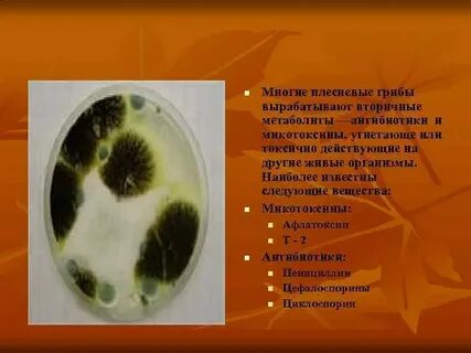 Многие п