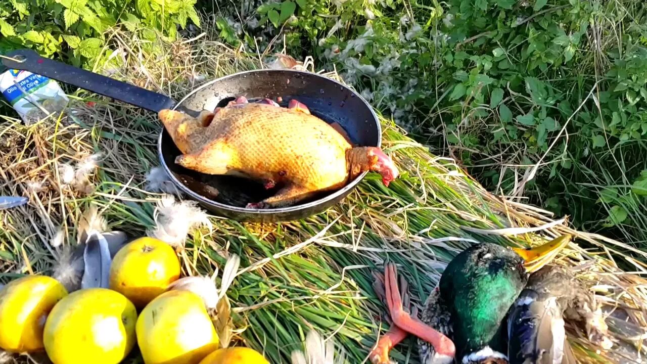 Какие яблоки в утку
