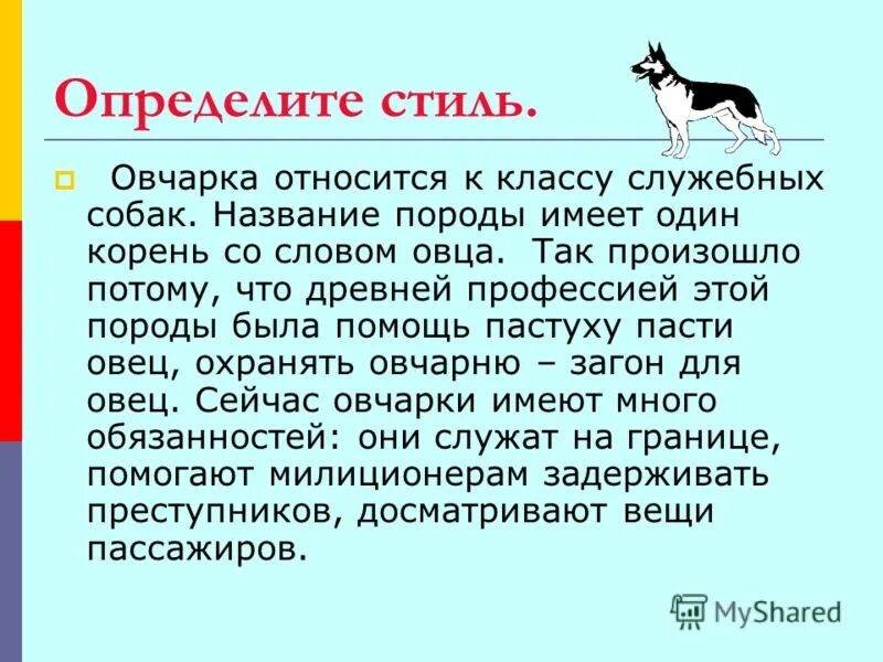 Художественный стиль про собаку. Рассказ про щенка. Рассказать о любимом животном. Все собаки. Небольшой рассказ о собаке.