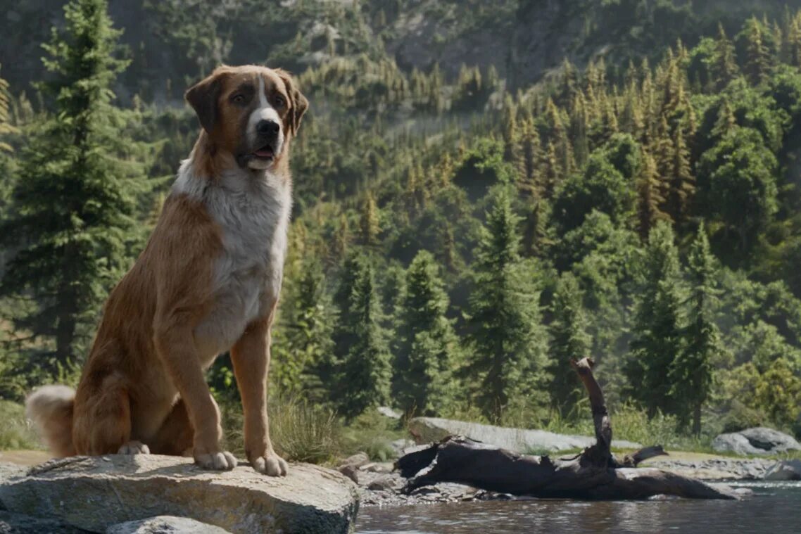 The Call of the Wild фильм 2020. Зов предков пес бэк. Зов предков фильм 2020. Зов предков the Call of the Wild 2020.