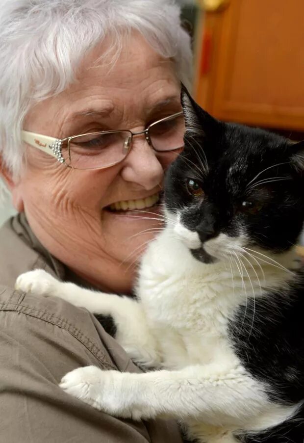 Старейший кот в мире. Кошка люси 39 лет. Кот с тортиком. Крим пафф кошка долгожитель. Старая кошка.