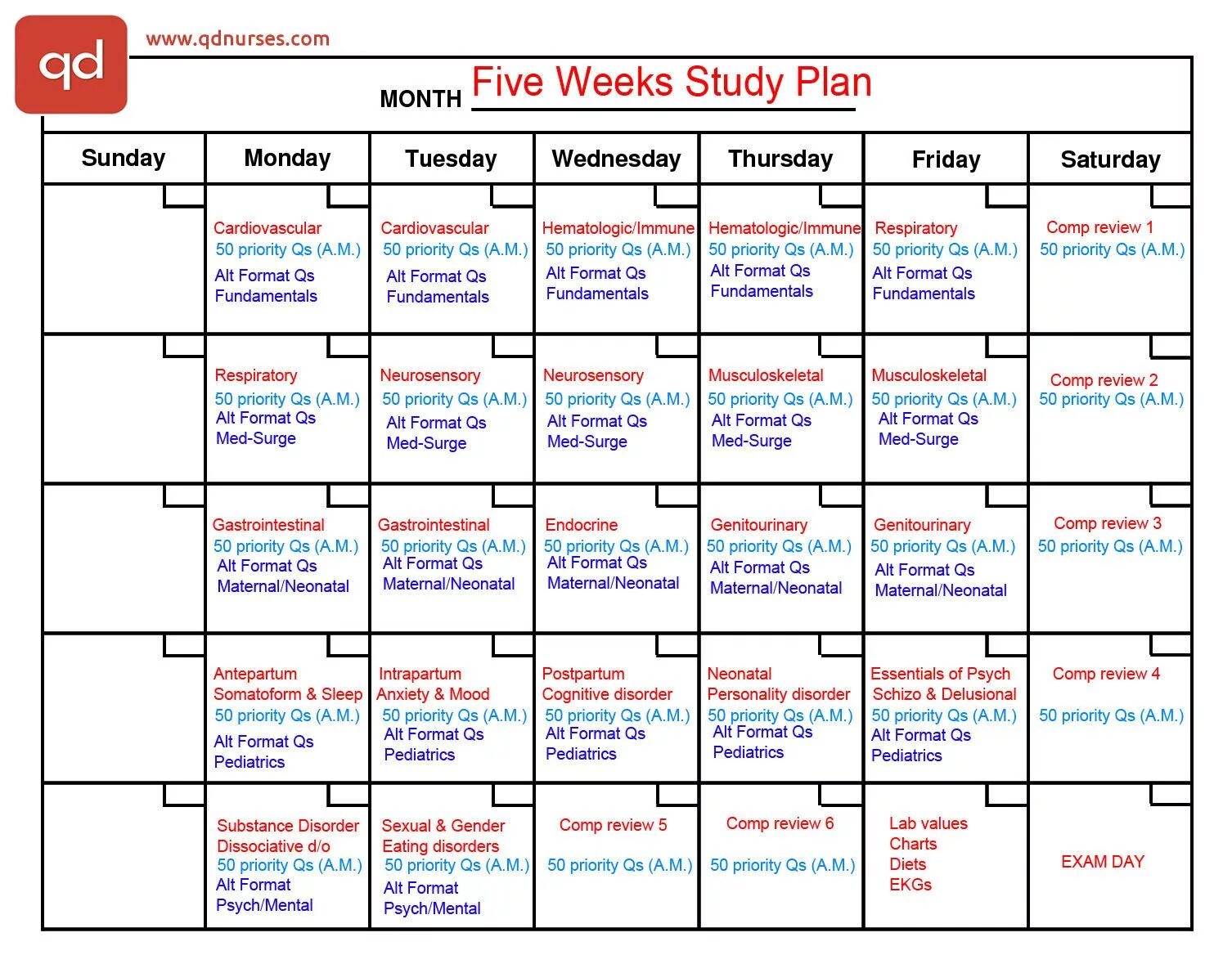Study 2 form. Стади план. study plan for students. studying plan. study plan monthly.
