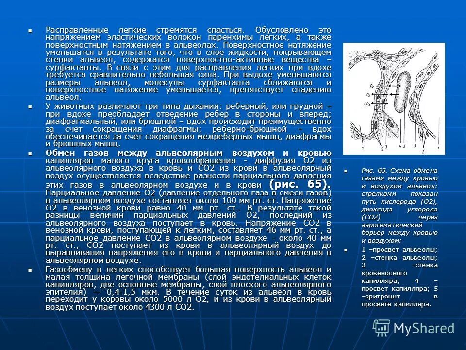нахождение кислорода в атмосфере. кисродод. измерение растворенного кислорода в воде. содержание кислорода в атмосферном воздухе. состпу атмосферно воздуха.