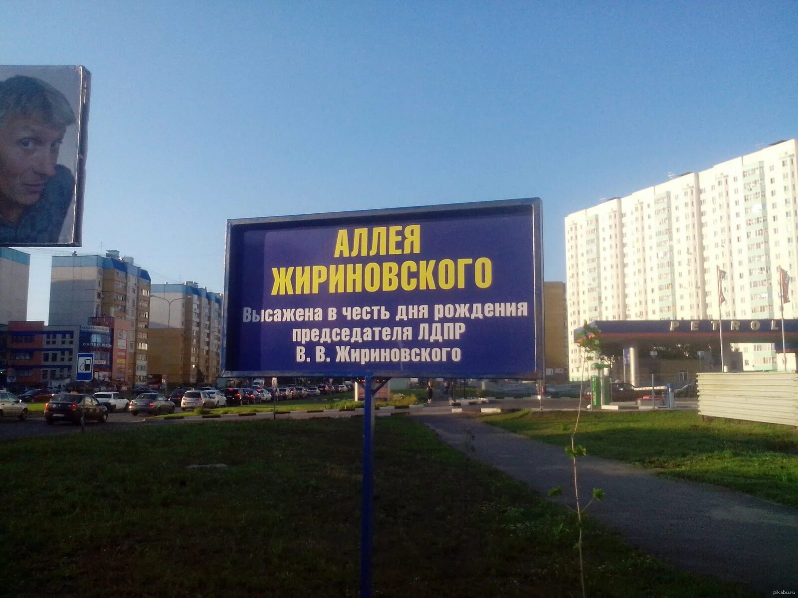 Сторожевск аллея памяти. Улица имени жириновского. Аллея имени жириновского рязань. Аллея жириновского воронеж где. Аллея жириновского воронеж где.
