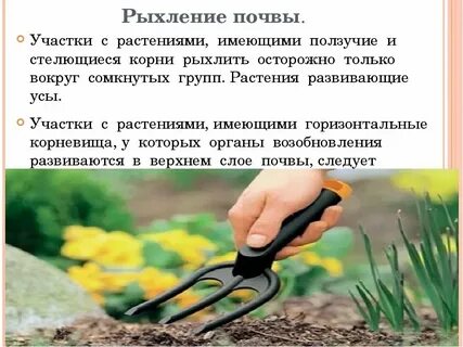 Во время рыхления корка разрушается вода. Разрушаются горные породы. Схема образования и разрушения плужной подошвы. Во время рыхления корка разрушается вода. Процесс разрушения и выноса водой или ветром называют.