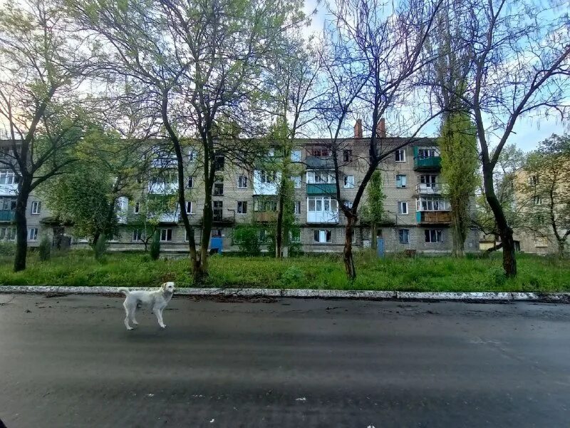 Авдеевка гагарина 1. Авдеевка улица соборная. Поселок старомихайловка донецкой области. Авдеевка (сосницкий район). Улица первомайская 55 авдеевка.