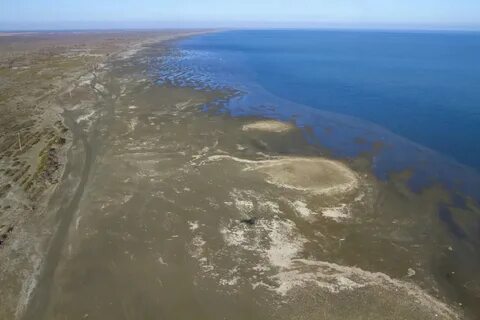Каспийское море это пресный водоем