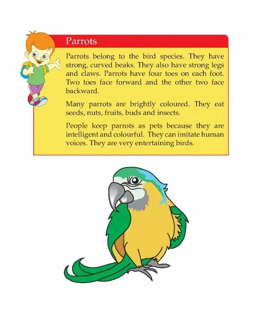 Попугай на английском языке. About Parrots for Kids. Parrot Worksheet. Parrot for Kids.