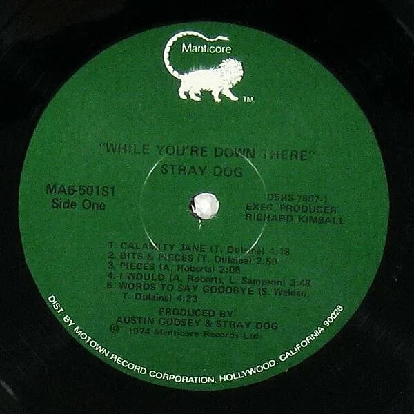 Re down. Stray Dog 1974 while you're down there. Stray Dogs группа. Stray Dog album 1973. Stray Dog (1999).
