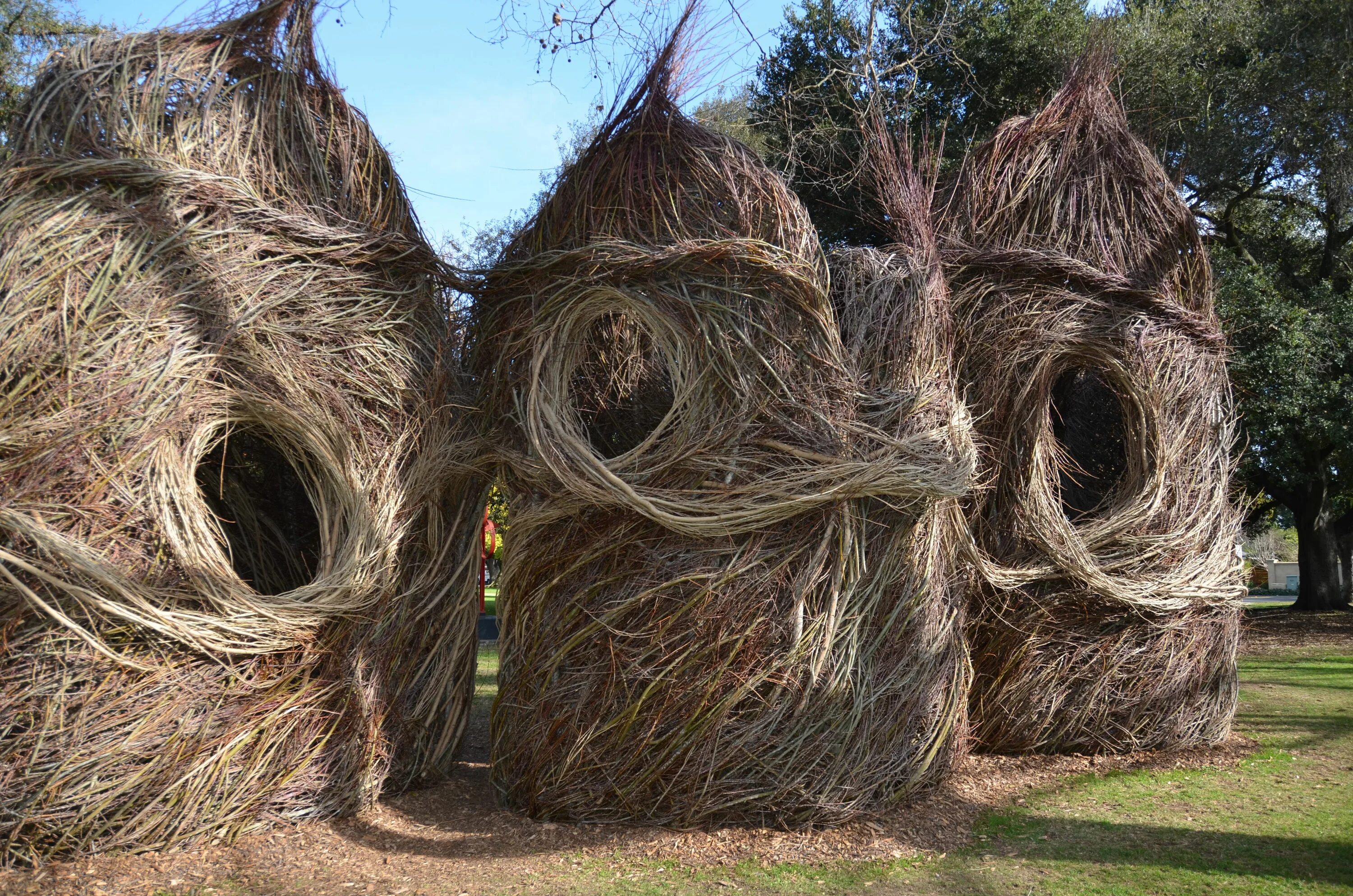 Люди живущие на деревьях. Скульптуры Patrick Dougherty. Дерево Патрик Догерти. Арбоскульптура из ивы. Патрик Лагерти скульптор.