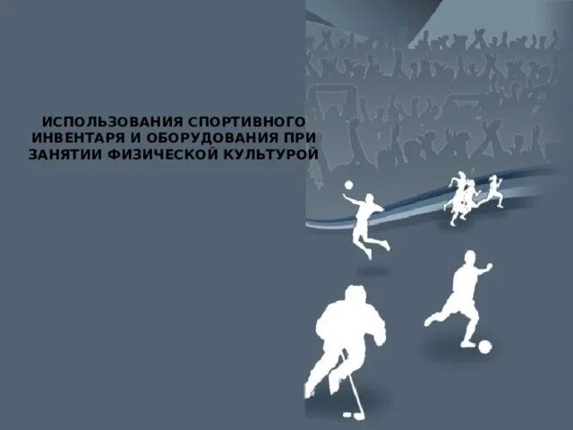 В каком виде спорта используются данные инвентарь. В каком виде спорта используются данные инвентарь