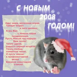 С новым годом 2008 год