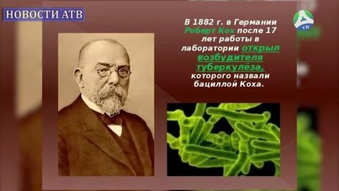 Ученый холера
