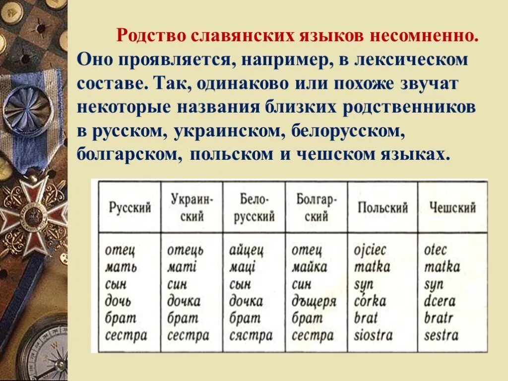 Славянские языки. Родство славянских языков. Русский язык в семье славянских языков. Носители славянских языков.