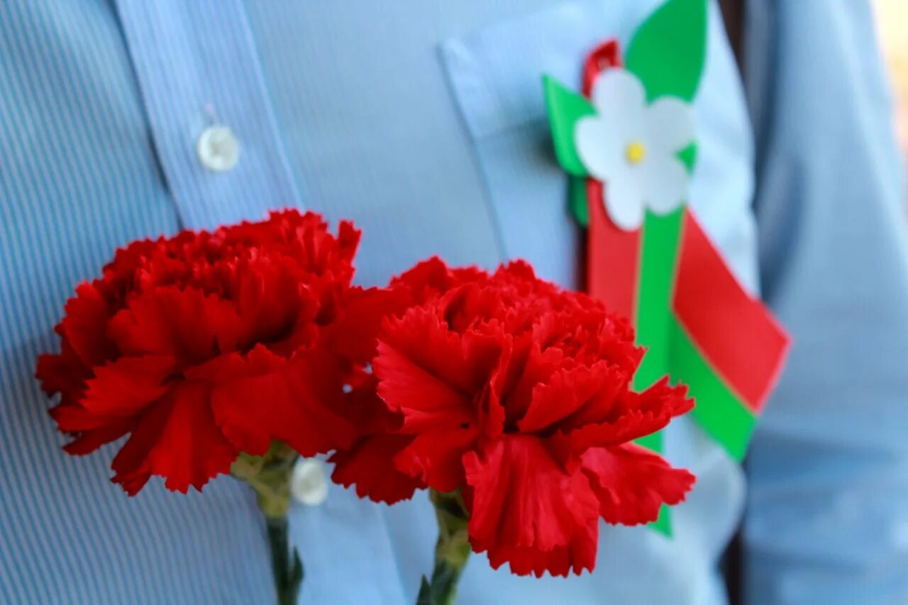 Беларусь лето 2020. Белоруссия день республики. 17 ноября праздник в беларуси. Беларусь в мае. 17 ноября праздник в беларуси.