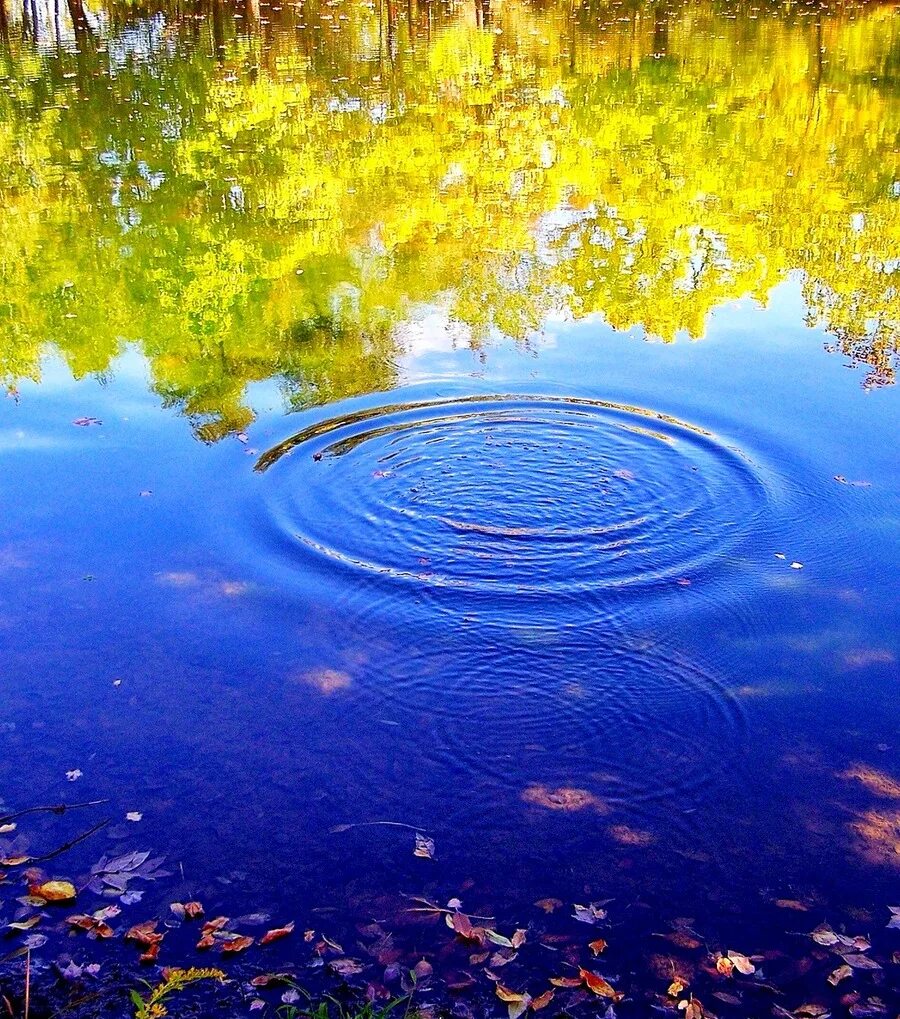 На воде дрожит золотая сеть солнечных. Круги на воде. гладь воды. кги вода. пейзаж с водой.