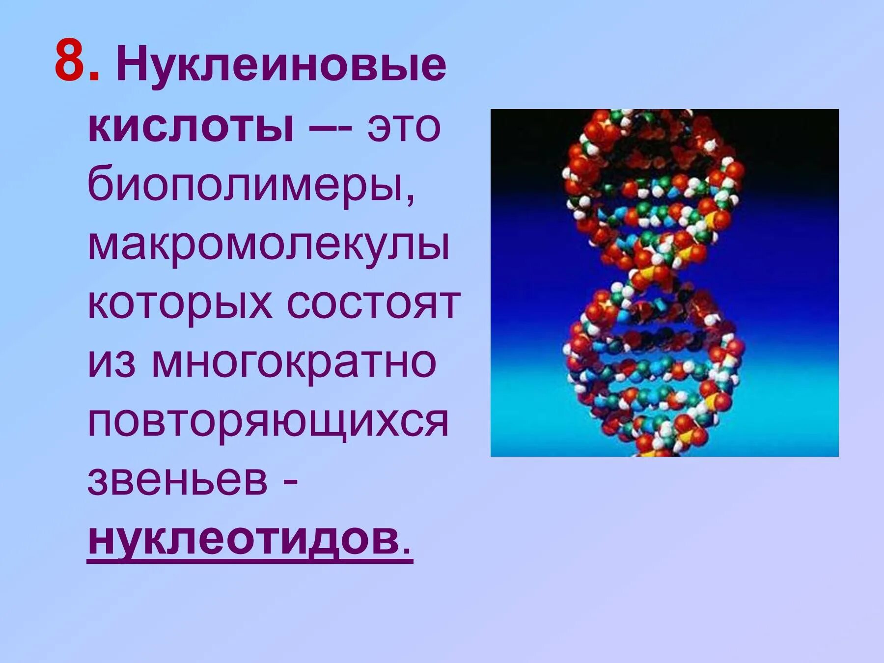 Функции биологических полимеров