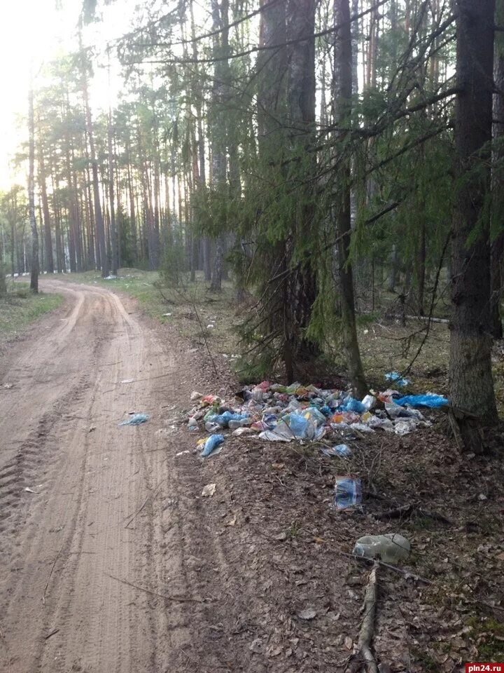 Погода ямм гдовского района. Ямм Псковская область. Деревня Ямм Гдовский район. Ямм Гдовский район Псковской области. Ямм деревня в Псковской области.