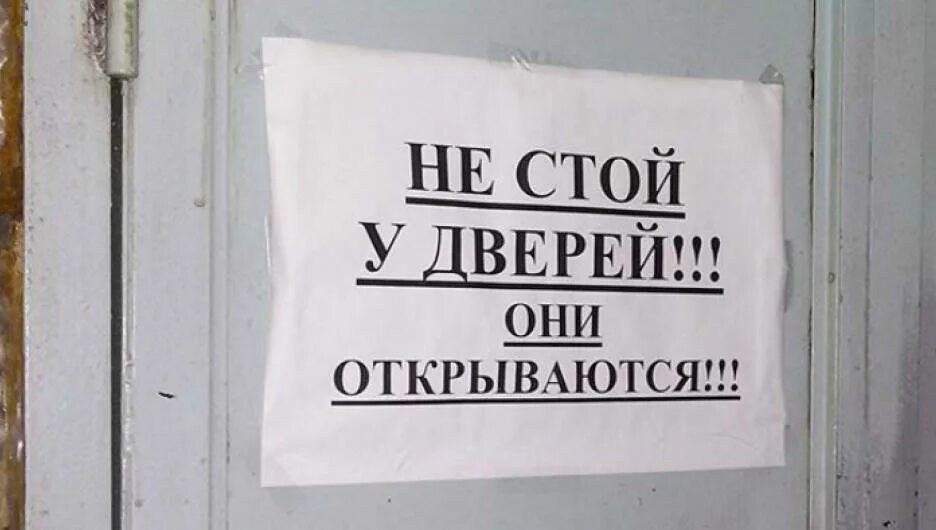 Высота кота. Они еще не стоили. Открытки хорошо работать. Кот по жизни. Они еще не стоили.