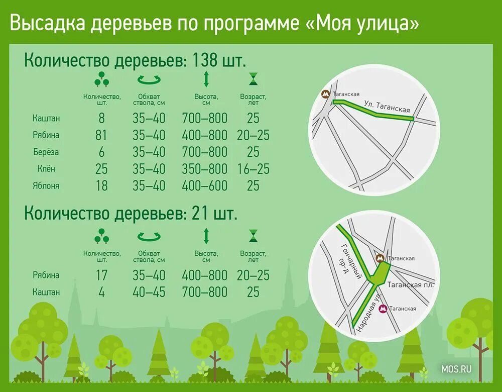 Сколько деревьев в москве. Количество деревьев в Москве. Количество высаженных деревьев. Сколько деревьев в Питере.