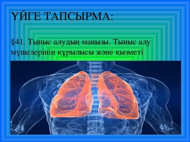 Және тыныс алу. Тыныс Йоко. Тыныс тон картинки. Тыныс логотип. Продукция компания тыныс.