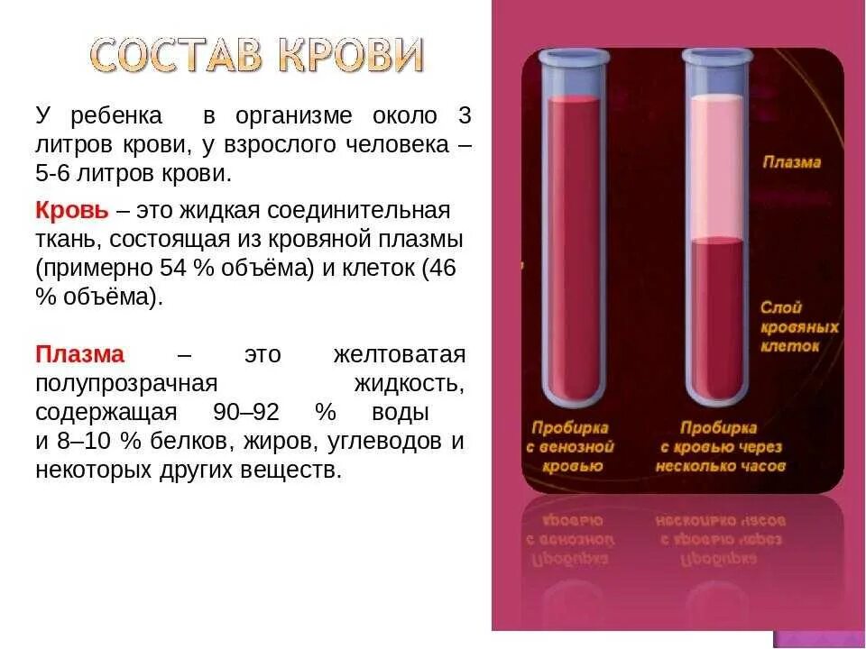 Как можно получить кровь. Состав крови. Состав крови человека. Состав человеческой крови.