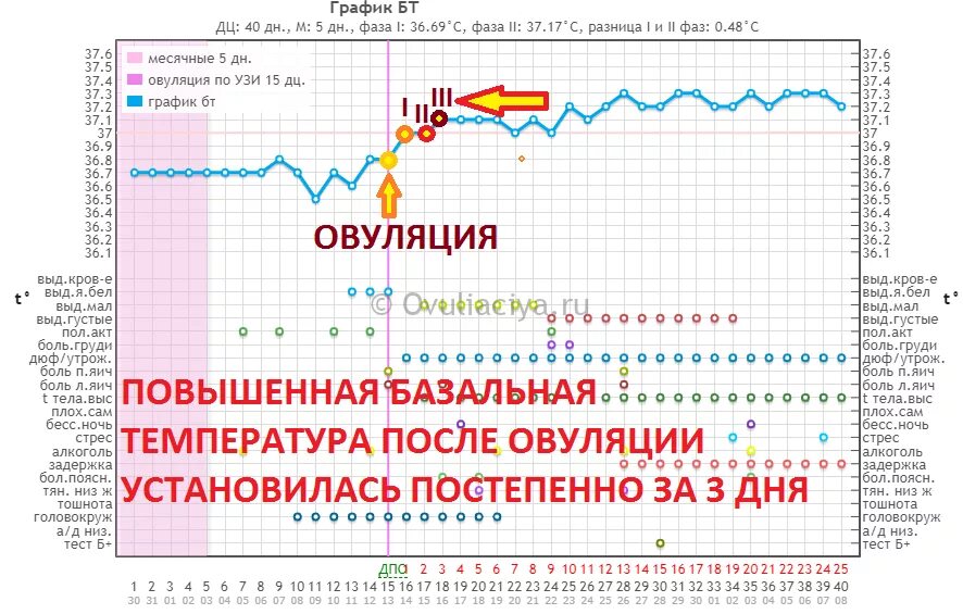 Поднимается температура перед. График базальной температуры менструационного цикла. График базальной температуры с овуляцией. График базальной температуры в беременный цикл. График изменения базальной температуры в течение цикла.