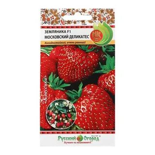 Московский деликатес описание сорта фото отзывы клубника
