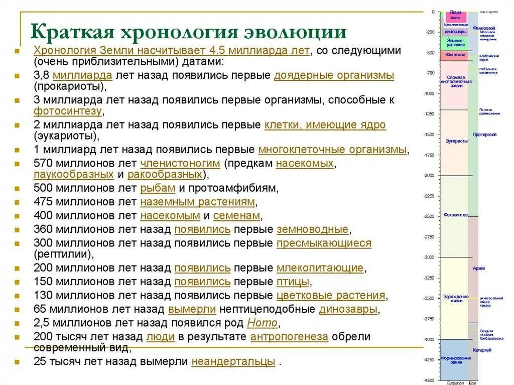 Хронология развития человечества. Хронологическая последовательность событий на земле. Хронология период развития человека. Хронологические таблицы истории человечества. Хронологический порядок что это