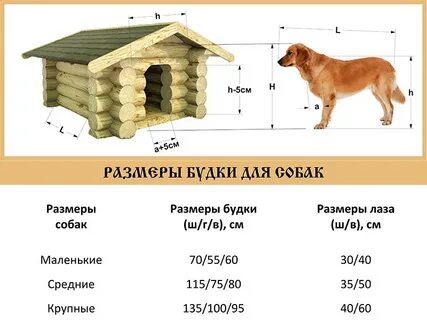Размер будки для лабрадора