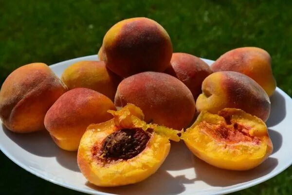Golden peach