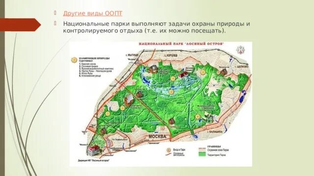 Карта парка ходынское поле. Проект спортивного парка. План парка отдыха. План парка. Генплан сквера.