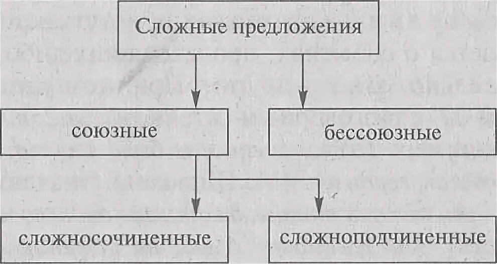 Союзные сложные предложения делятся на