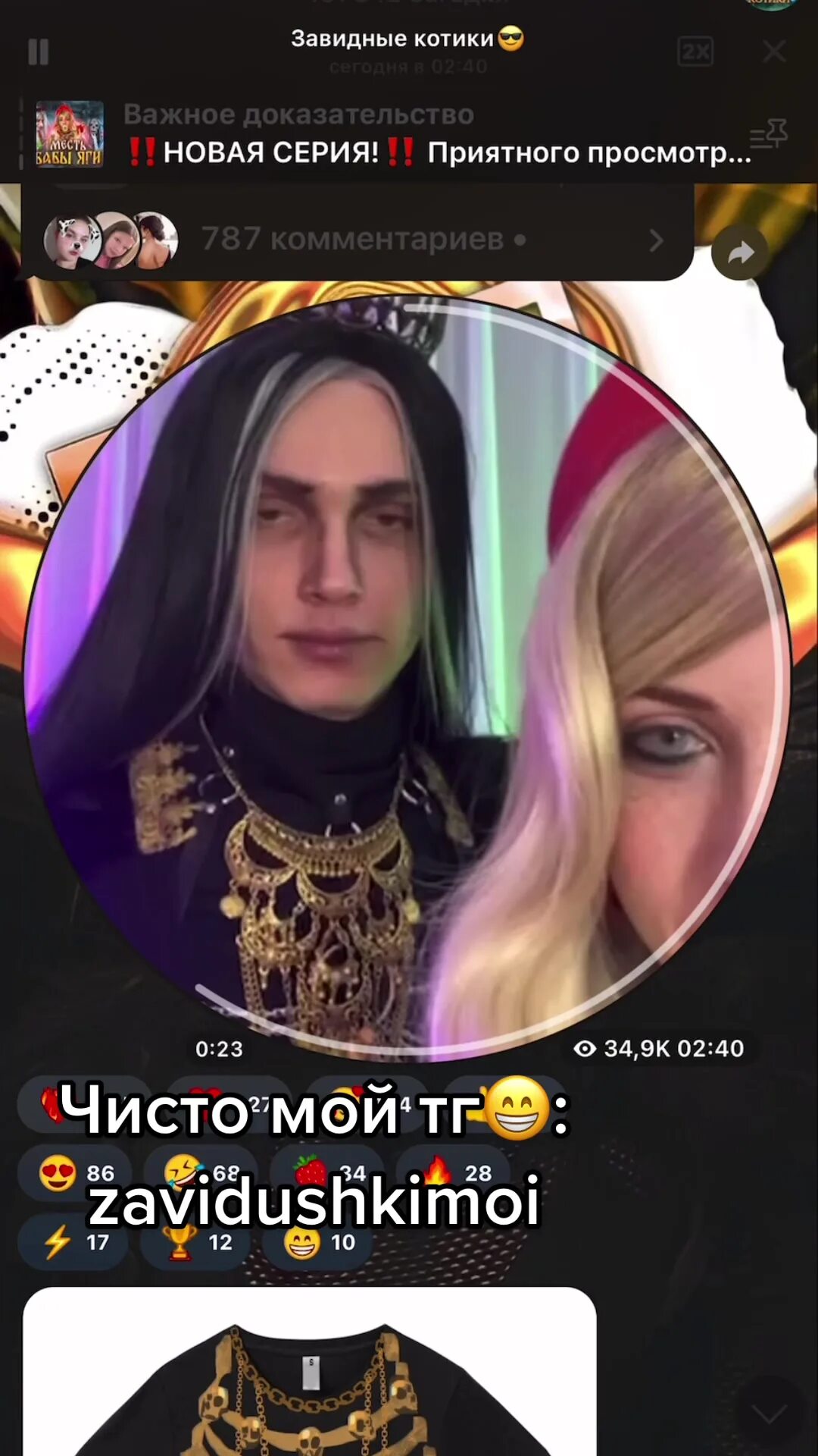 Самый харизматичный кот большой. Завидные котики. Завидные котики. Пушистые большие домашние. Инстакот.