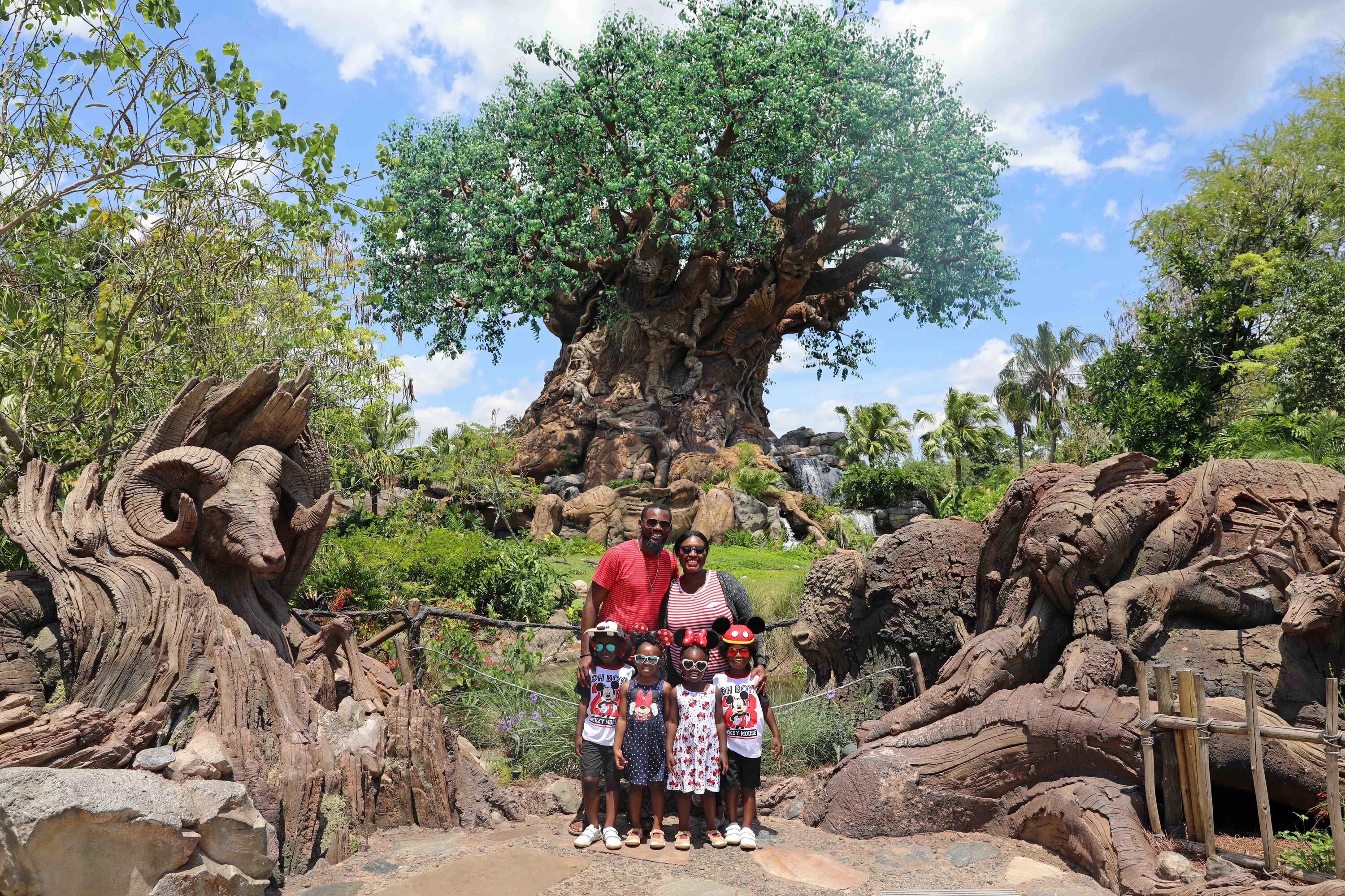 Деревья дисней. Дисней Энимал кингдом. Королевство деревьев. Disneyland Zoo. Far from the Tree Disney.