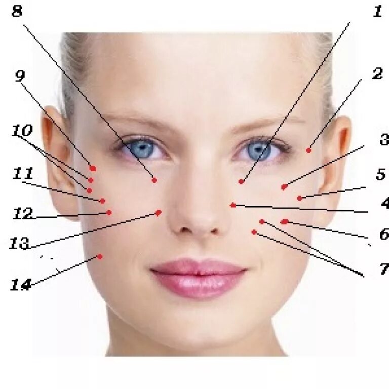 Прыщ на левой брови. Части лица названия. Лицо название частей лица.