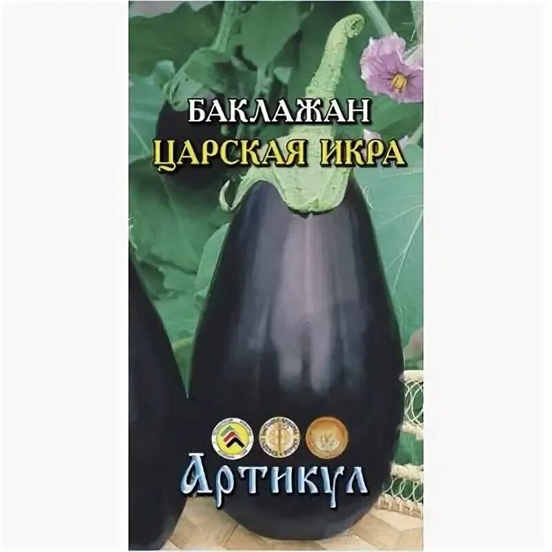 Готовлюсь сажать баклажаны. Рассказываю какими семенами запаслась
