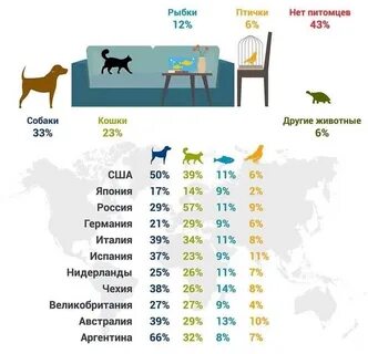 Сколько можно иметь собак