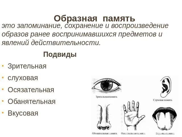 Запоминание сохранение и воспроизведение образов. Образная память. Особенности образной памяти. Образная память это запоминание. Виды памяти образная.