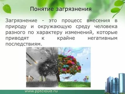 Определение окружающей среды