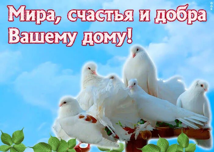 Добра вашей. Пожелания благополучия в семье. Мира и доьоов вашему дому. Добра вашей. Счастья вмдом.