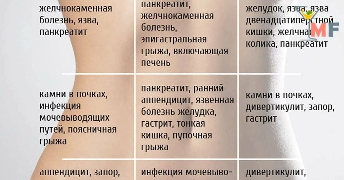 Почему тянет живот у женщин. Почему тянет живот у женщин