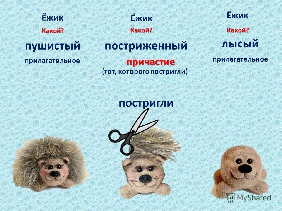 Еж какой прилагательные. Еж какой прилагательные. Презентация на тему ежик. Прилагательное к слову еж. Еж какой прилагательные.