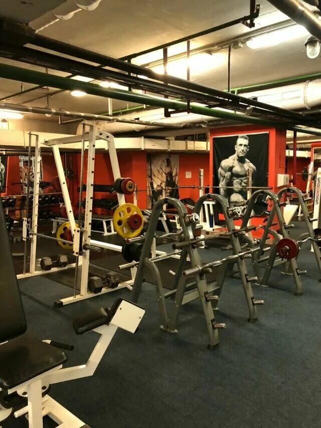 спарта тренажерный зал коньково. спарта орёл фитнес. спарта красноярск тренажерный зал водопьянова. спарта краснодар тренажерный зал. спарта мужества.