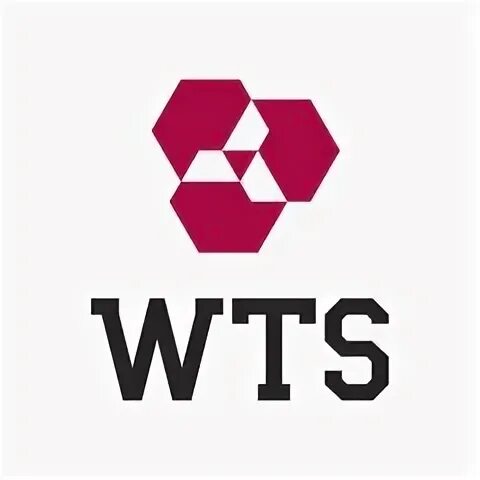 Компания втс. Фирма WTS. ООО ТК ВТС. WTS Group 91a1715125.