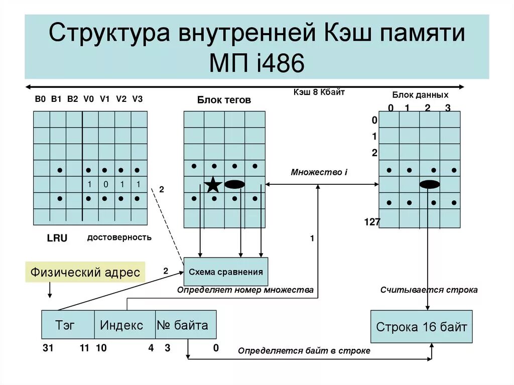 Кэш память устройства. Кэш память схема. Схема работы кэш памяти. Структура памяти. Структура внутренней памяти.