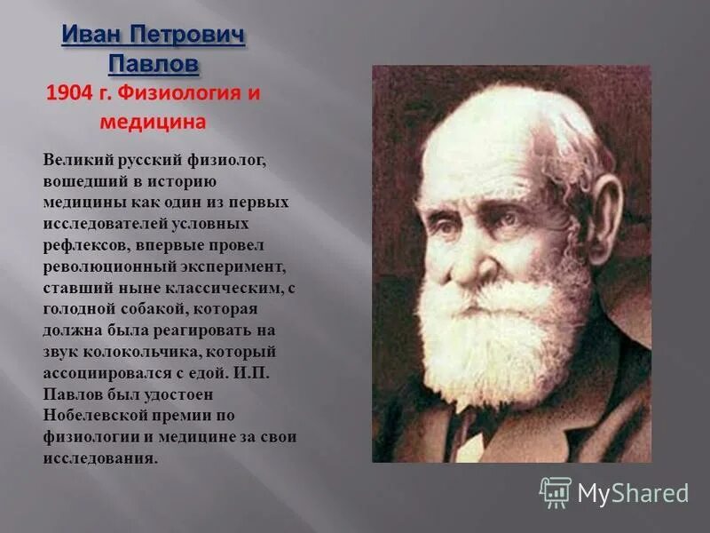 иван петрович павлов (1849-1936) — учитель теории рефлексов. российский исследователь мозга. павлов и. ученые изучают мозг. физиолог и м сеченов в 1866.